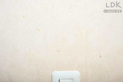 BEFORE:飛び散った油汚れが目立っていませんか? 床や壁のシミの掃除方法おすすめ イメージ