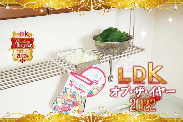 調理スペース拡張にはベストコの吊り戸棚下ラック。広さ２倍で作業効率化【LDKベストバイ2022】