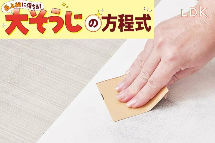 黒ずんでも捨てないで！ 珪藻土バスマットの汚れ、正しい落とし方は？【LDK大掃除】