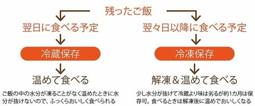 ご飯はとりえあえず冷凍保存でOK？ イメージ
