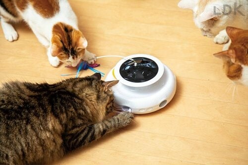 電動おもちゃ 猫用おもちゃおすすめ イメージ2