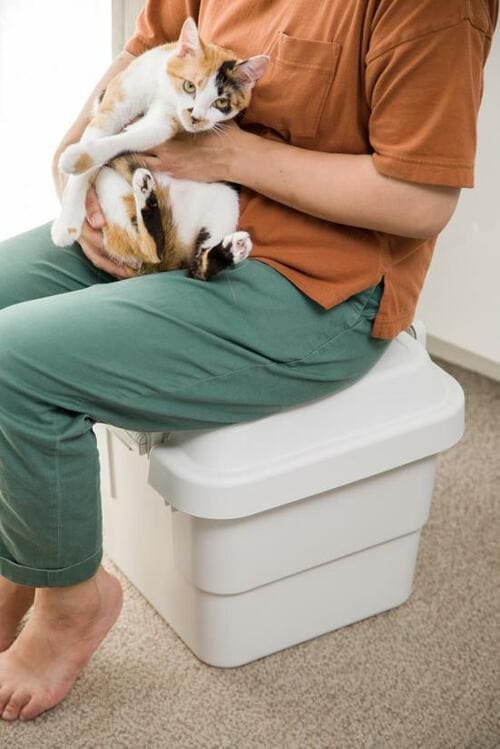 無印良品「ポリプロピレン 頑丈収納ボックス 小」2