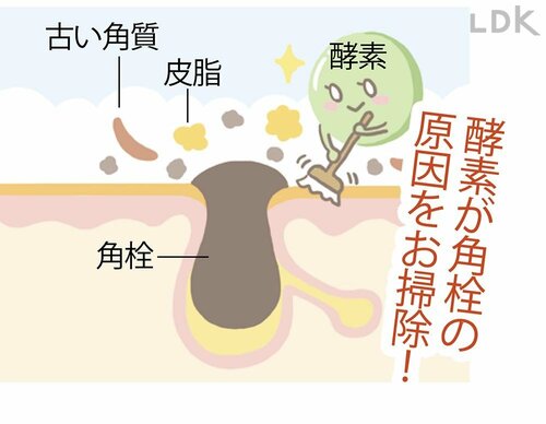 酵素が角栓の元のたんぱく質を溶かす クレンジングタオルおすすめ イメージ