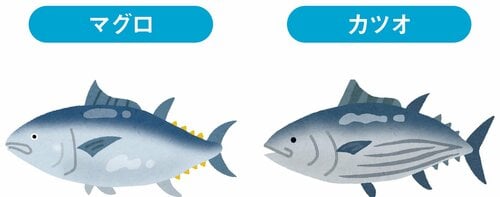 Q1.マグロとカツオ、原材料の違いは？A1.マグロは柔らか、カツオは風味豊か イメージ
