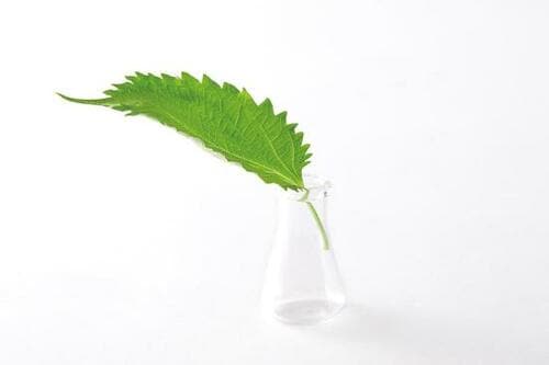 ベストのワケ1:保存したときの鮮度をキープ イメージ