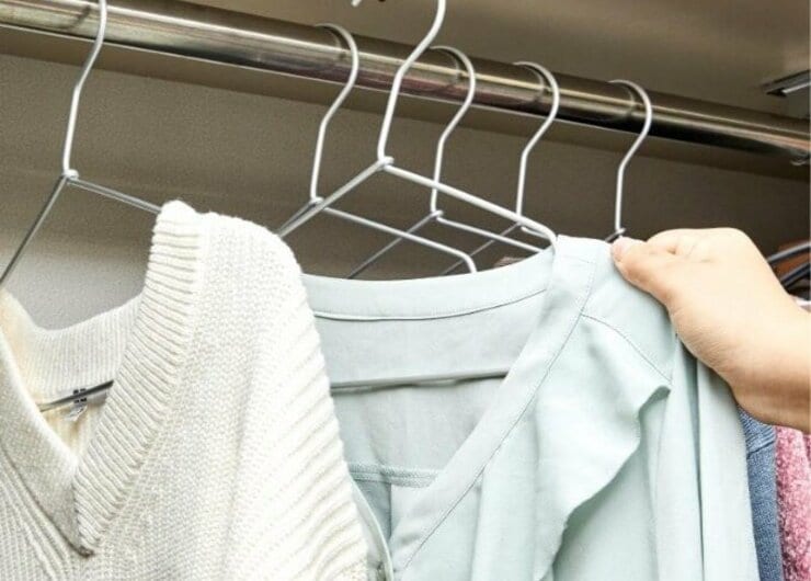 100均ハンガーでイイ！「干す&収納」を兼ねるプロおすすめはダイソーでした│『LDK』がご紹介します