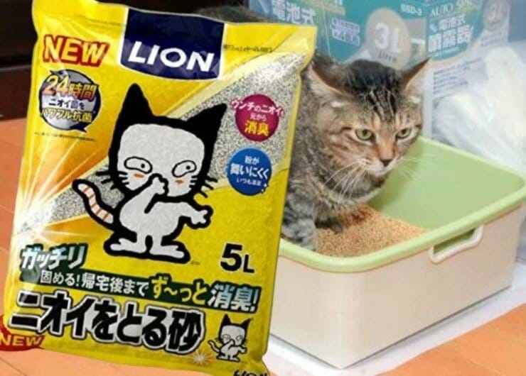ネコ人気もNO.1！クサくない「猫砂」ならライオンでした｜ネコDKが検証