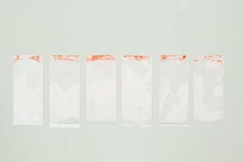 ポイント：洗浄力テストではNo.1の実力 イメージ