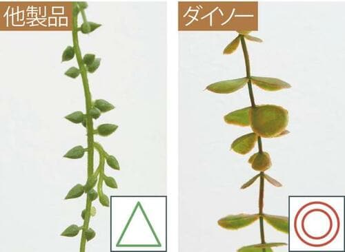 葉っぱの付き方がほどよくランダム イメージ