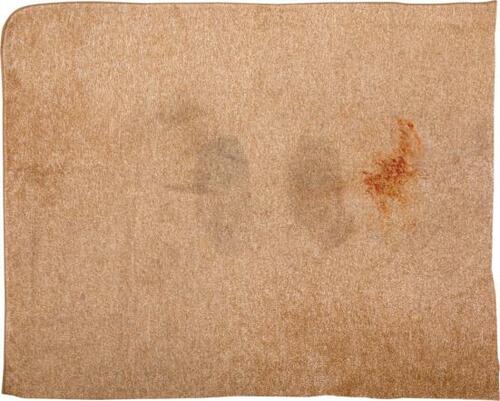 洗濯あるある11：カーペットはさすがにキツイ？ イメージ