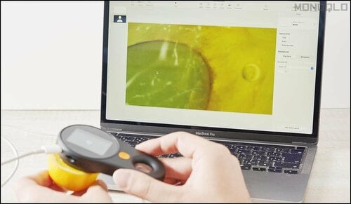 USB-CでPCに接続し、プレゼンにも使える デジタルマイクロスコープおすすめ イメージ