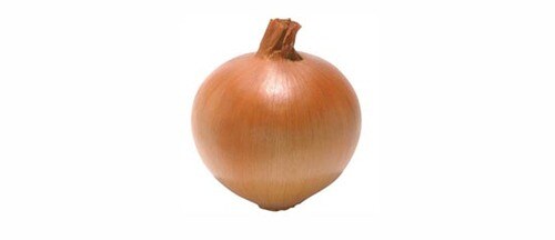 玉ねぎ:食材:冷凍:調理:保存