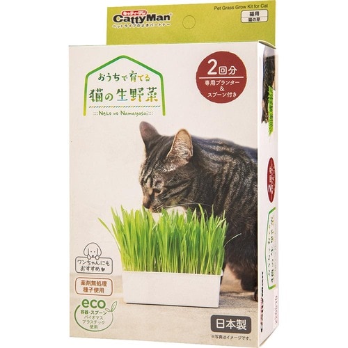 猫草おすすめ ドギーマンハヤシ キャティーマン おうちで育てる 猫の生野菜 イメージ