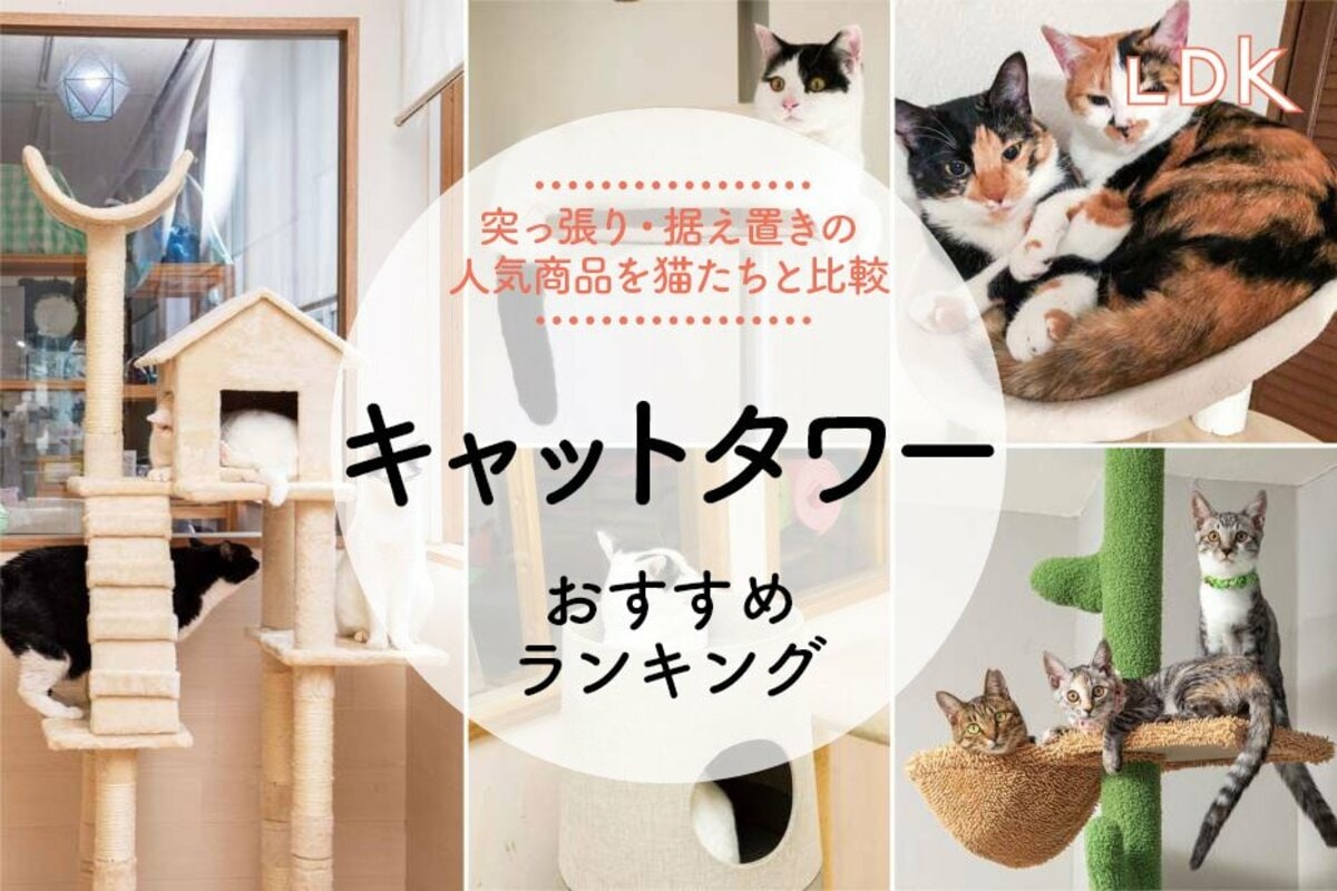 キャットタワーのおすすめランキング10選。LDKが猫と一緒に人気 キャットタワーのおすすめランキング10選。LDKが猫と一緒に人気