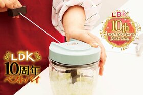 みじん切りチョッパー、掃除がめんどうじゃない？ 内ブタ付きならラクなんです【LDK10周年ベストバイ】