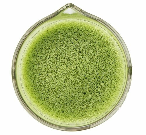 抹茶ラテやストレートで茶葉が変わる イメージ