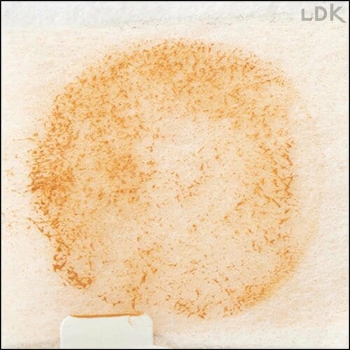 メイクが濃い日は色移りが気になるかも LDKベストバイマスクおすすめ イメージ