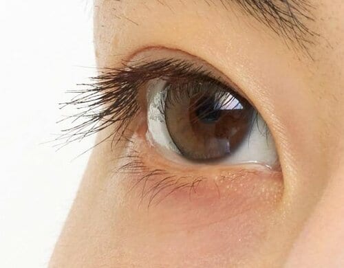 ツヤが出て自然な仕上がり ブラウンマスカラおすすめ イメージ