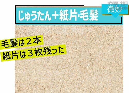 じゅうたん＋紙片･毛髪：微妙 キャニスター掃除機おすすめ イメージ
