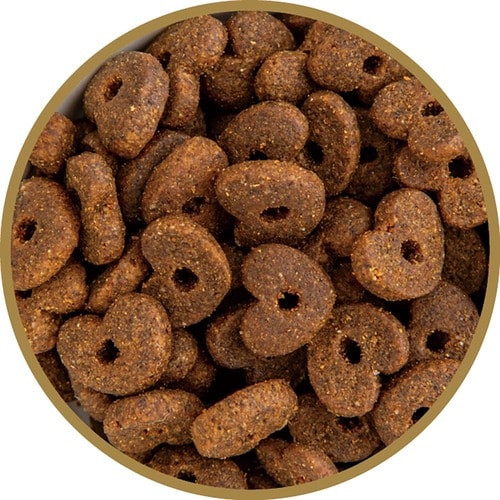 猫用ドライフードおすすめ リフレックス REAL POWER キャットフード NO.2 フォレストチキン イメージ2