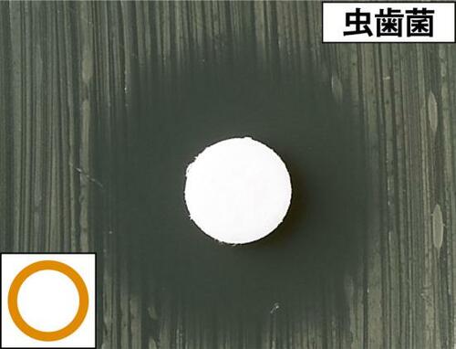 口臭対策に効果絶大!しっかり殺菌できました イメージ5
