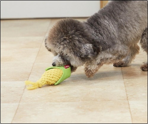 食べもののごとくガシガシ噛みつく犬多し 犬用おもちゃおすすめ イメージ