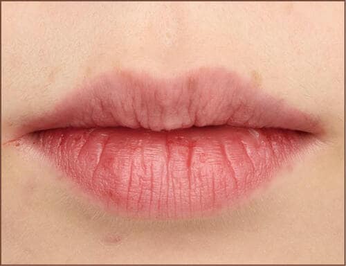 【夕方〜夜】 口紅おすすめ イメージ