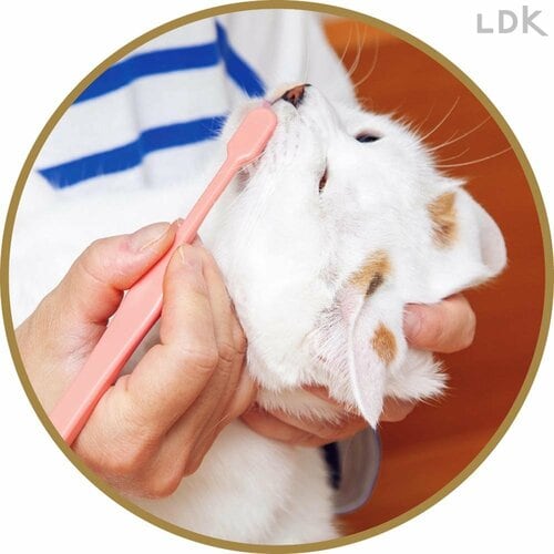 ヘッドも大きく磨きにくい 猫用歯ブラシおすすめ イメージ