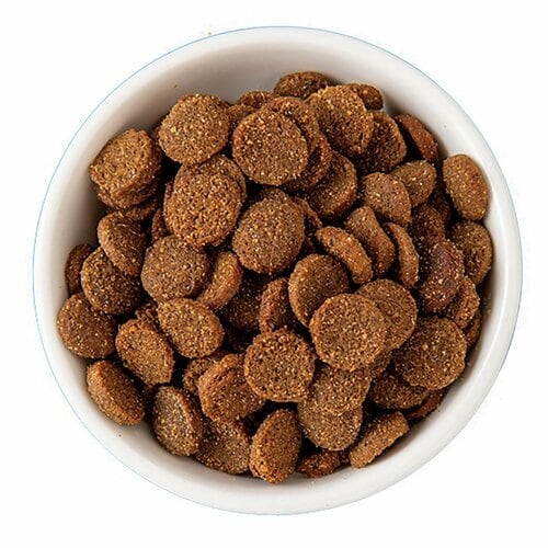 グレインフリーキャットフードおすすめ ファンタジーワールド ニュートライプ オーストラリアン ビーフ&ホルモンフリーチキン イメージ2