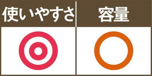 ダイソーのコットンバッグは容量が小さいのが残念 イメージ2