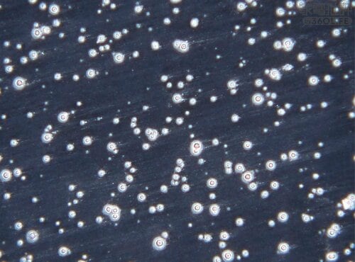 ＜表面拡大(倍率：160倍)＞ ペーパーライクフィルムiPad用保護フィルムおすすめ イメージ