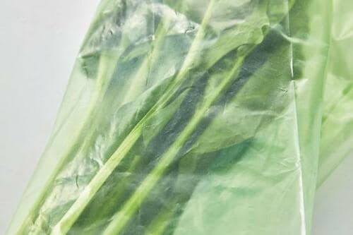 袋に入れるだけで長持ち! 野菜をキープする「鮮度保持袋」 鮮度保持袋おすすめ イメージ