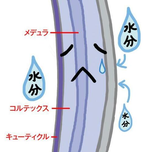 湿気で髪型が崩れちゃう…梅雨のイライラどうすればいい? ヘアオイルおすすめ イメージ