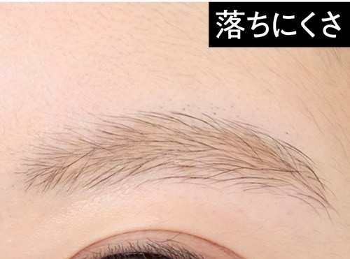 落ちにくさ 落ちにくいアイブロウおすすめ イメージ