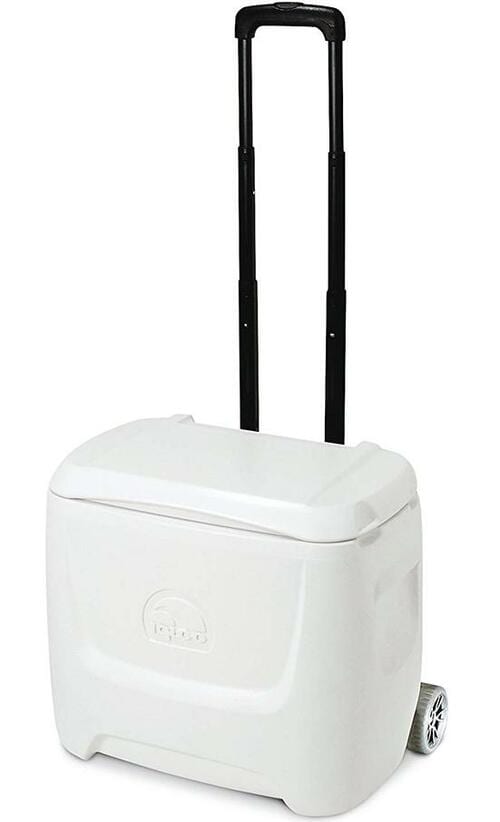 運びやすさと保冷力はお墨付き！使い勝手最強は“イグルー”でした イメージ