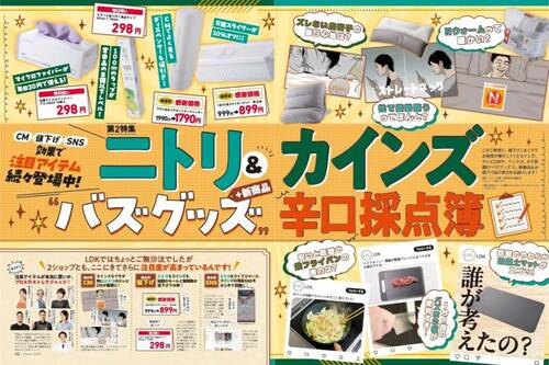 LDKがバズグッズ・新商品を辛口採点 カインズの鉄フライパン、フッ素加工フライパンおすすめ イメージ