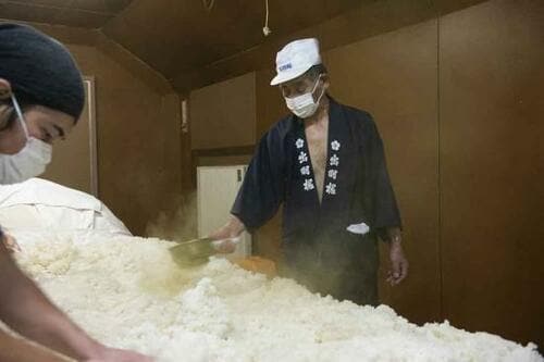 日本酒基本の「き」：知っておきたい酒米「山田錦」 イメージ2
