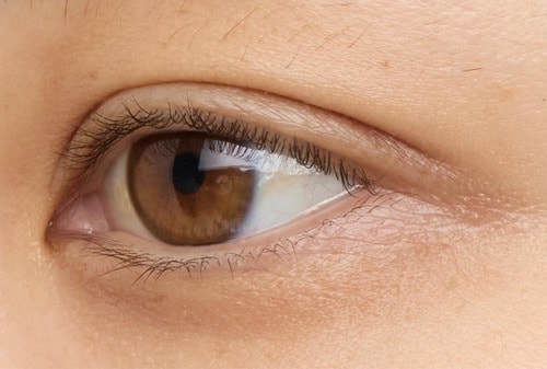 平行二重 ビューラーおすすめ イメージ