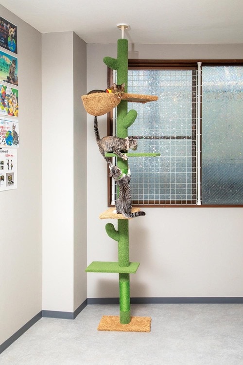 ネコが使うとかわいさが増す! キャットタワーおすすめ イメージ2