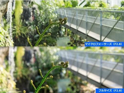 たっぷりボケるし、暗いシーンでもクリアに撮れる! イメージ
