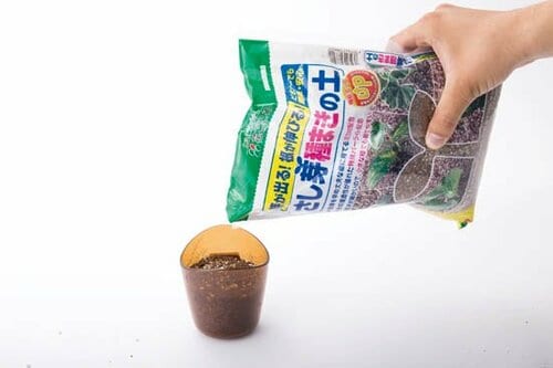 ポイント2：腐葉土を入れて薄く土をかぶせるだけでOK イメージ