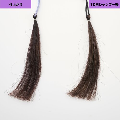 トリートメントタイプで塗やすい パープル（紫）のヘアカラーおすすめ イメージ