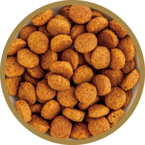 猫用ドライフードおすすめ ロイヤルカナン ステアライズド 避妊・去勢で太りやすい猫専用フード 成猫用 イメージ2