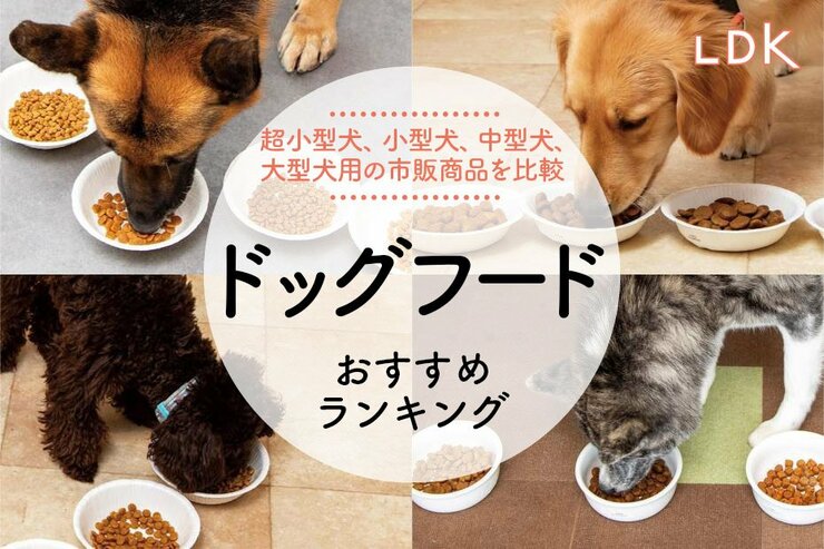 ドッグフードの総合おすすめランキング38選。LDKが小型犬から大型犬用まで市販の人気商品を比較