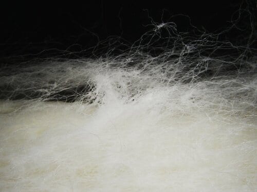 テスト3：こすれにくさ 吸水パッドおすすめ イメージ2