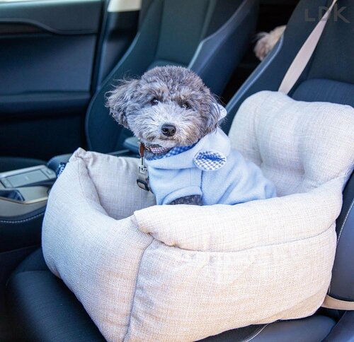 ソファタイプでデザイン性は高い 犬用ドライブボックスおすすめ イメージ