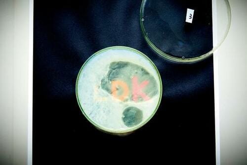 テスト1：タンパク質の変化 食器用洗剤おすすめ イメージ