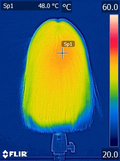 熱分布・送風範囲:合格 マンダム メンズヘアドライヤーおすすめ イメージ2