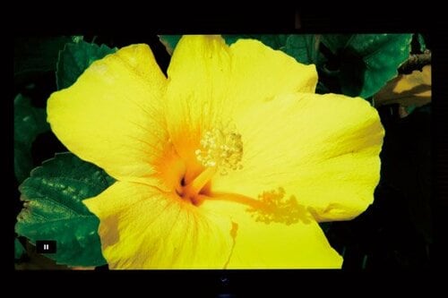 【画質】不自然に眩しくて色設定がメチャクチャです イメージ3