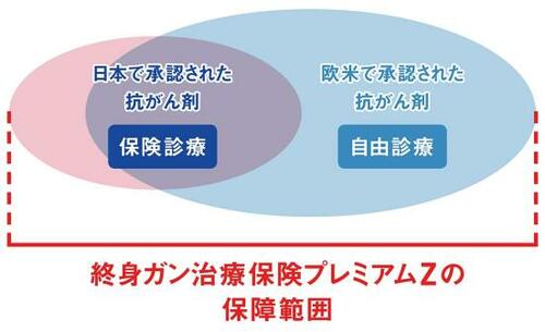 特徴2:日本未承認の抗がん剤も保障対象!